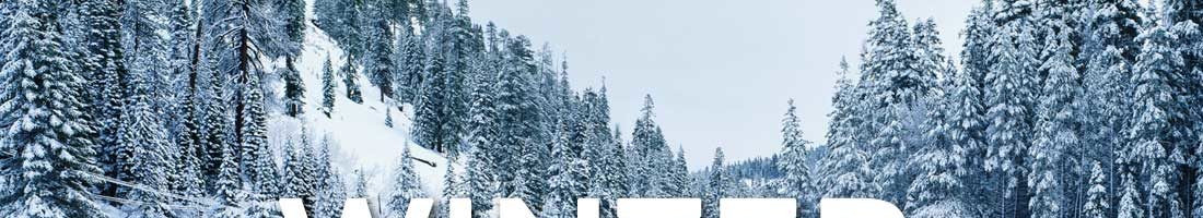 winter