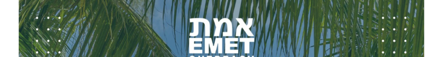 Morning Midrash